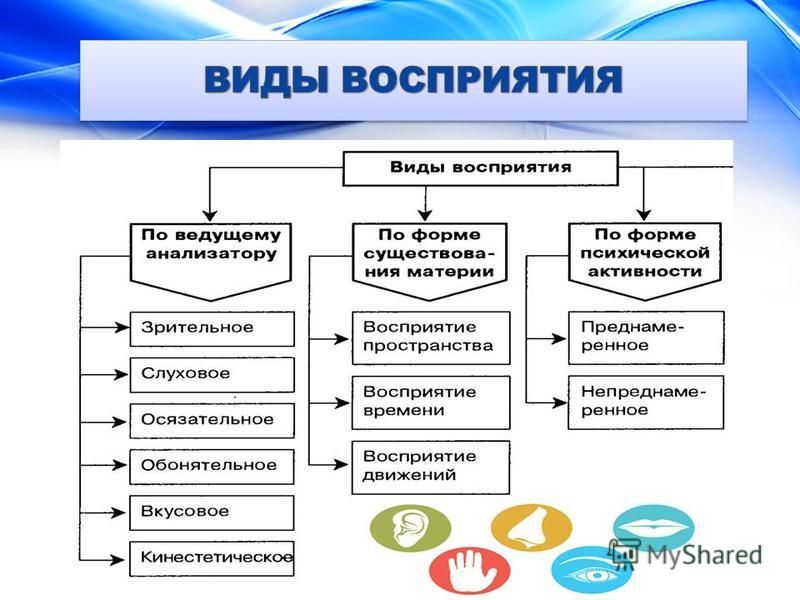 Что такое восприятие. Виды восприятия человека. Типы восприятия болезни. Виды восприятий в зависимости от форм отражения. Виды восприятия товара.