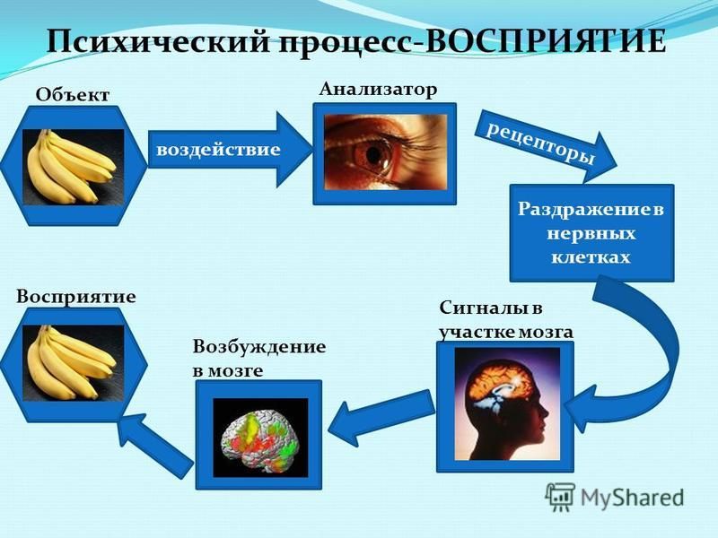 Восприятие образ и процесс. Процесс восприятия. Восприятие это психический процесс. Процессы восприятия в психологии. Восприятие как психический процесс.