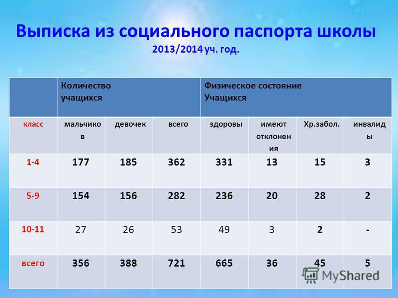 Паспорт социального проекта в школе