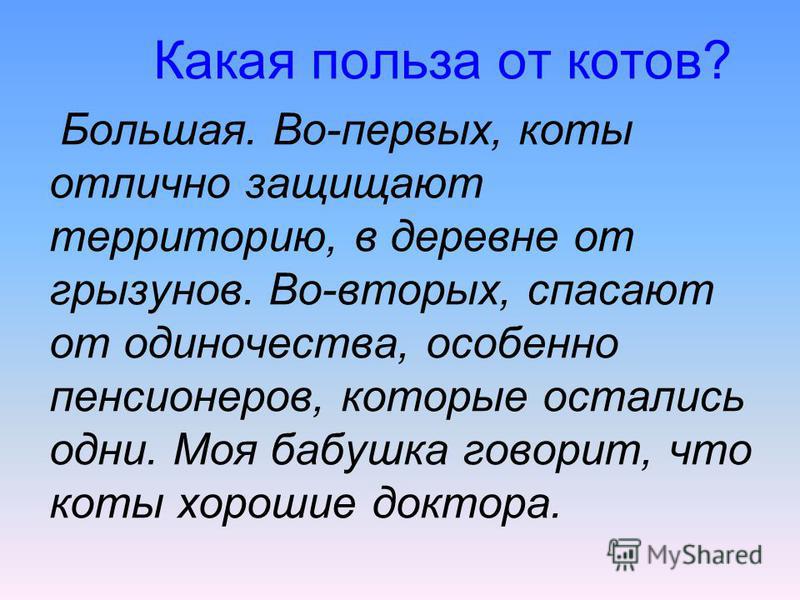 Польза несущий. Какую роль кошки и собаки играют в жизни человека. Значение котов в жизни человека. Роль кошачьих в природе и жизни человека. Какая польза от кота.