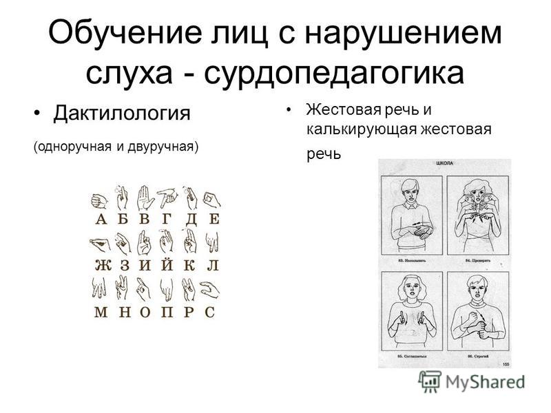 Жестовая речь. Разговорная жестовая речь. Жесты дактильной речи. Разница жестовой речи и дактильной.