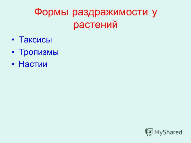 Таксис