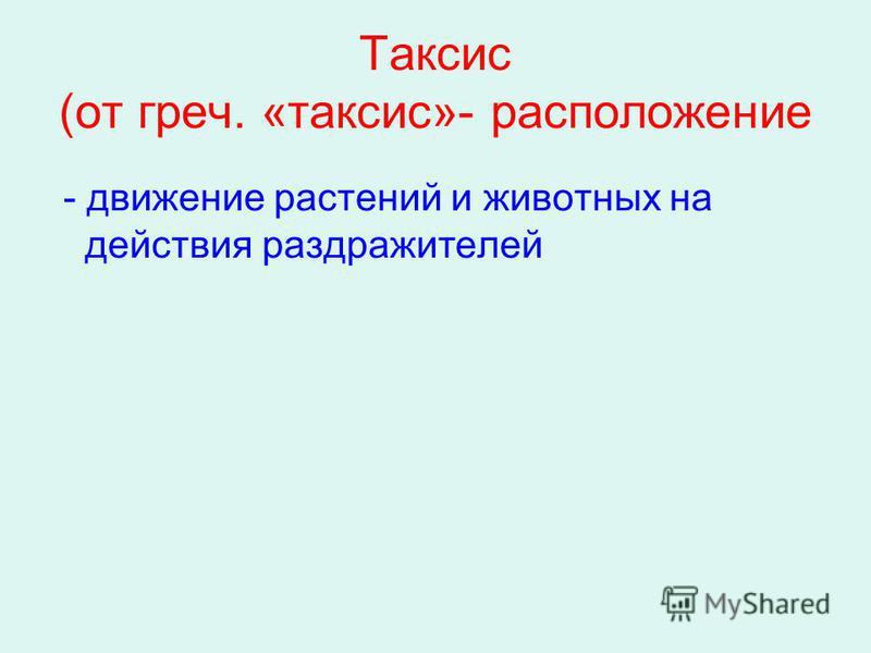 Таксис. Таксисы у растений. Таксисы у животных. Таксисы презентация. Таксисы у растений и животных.