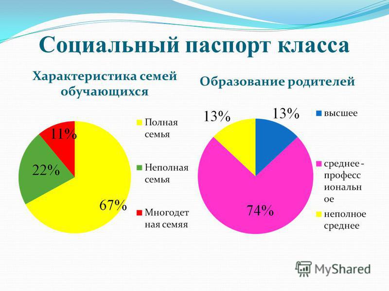 Социальный паспорт класса образец