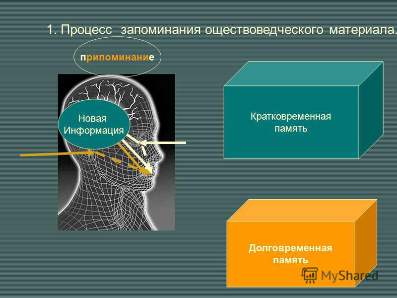 Кратковременная память презентация