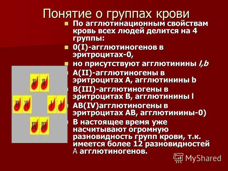 Группа крови влияние на характер. Понятие о группах крови. Группа крови термин. Понятие о группах крови и резус-факторе. Кровь понятие.