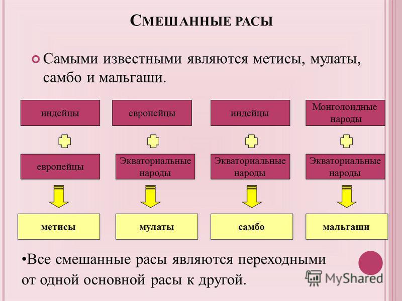 Потомки смешанных браков европейцев и индейцев