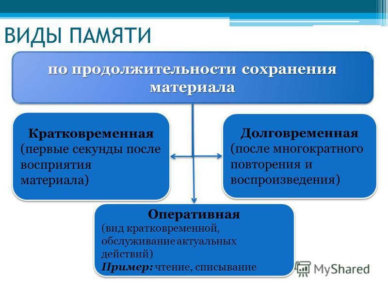 Взаимосвязь и взаимодействие различных видов памяти у человека презентация