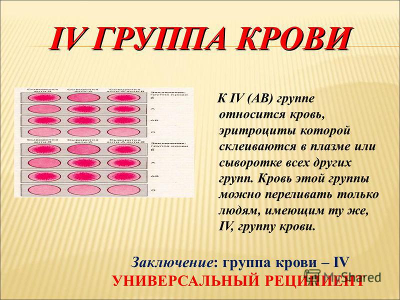 Группы крови и характер человека проект