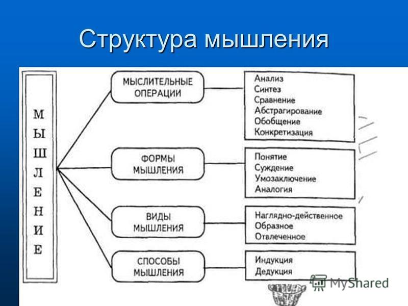 Функции когнитивных схем