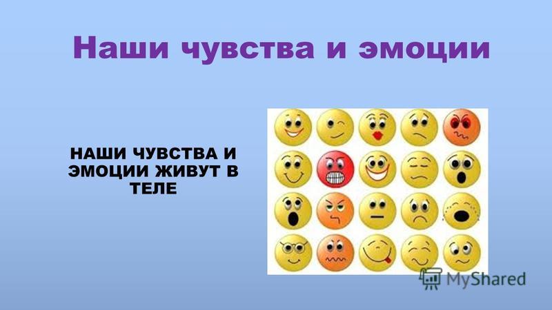 4 чувства человека