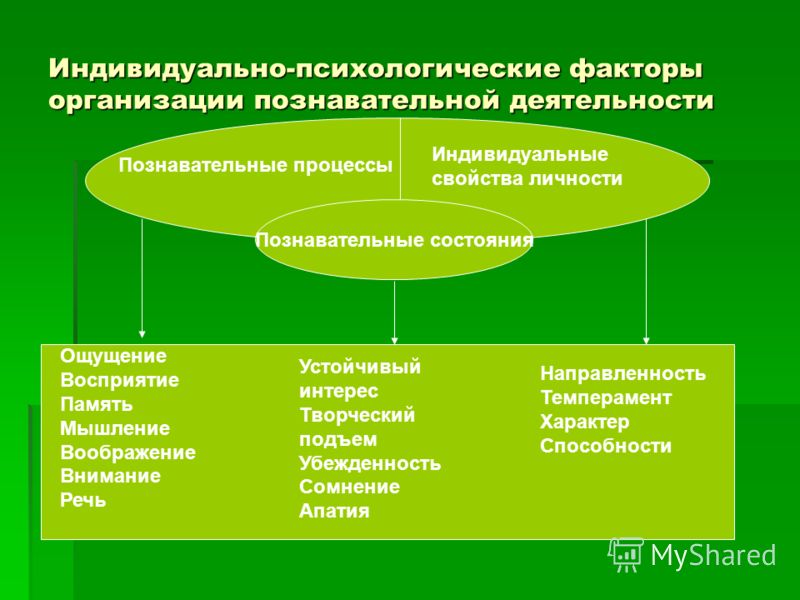 Индивидуально личностный. Познавательная деятельность в психологии. Психологические процессы познавательной деятельности. Факторы познавательной деятельности. Познавательная деятельность человека психология.