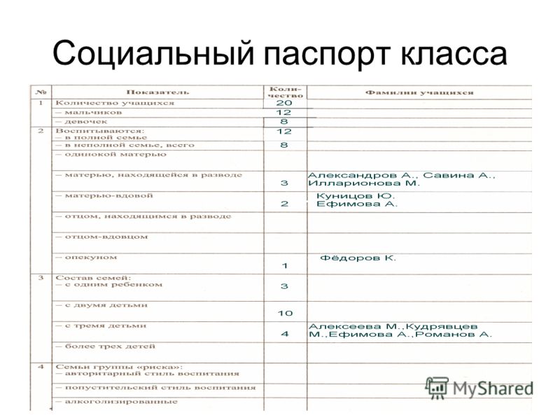 Социальный паспорт класса образец