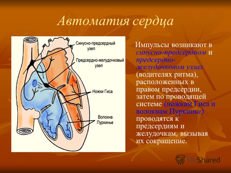 Автоматия это