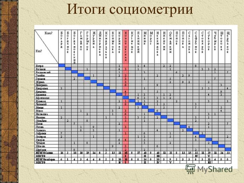 Социометрия для дошкольников образец