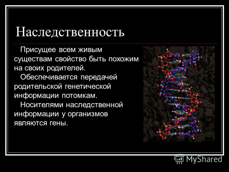 Свойства наследственности. Наследственность в эволюции. Носителями наследственной информации являются. Свойства живых организмов наследственность и изменчивость. Наследственность свойство живых организмов.