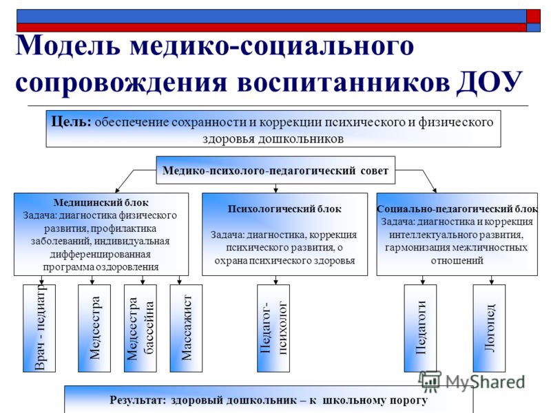 Направления плана социального сопровождения