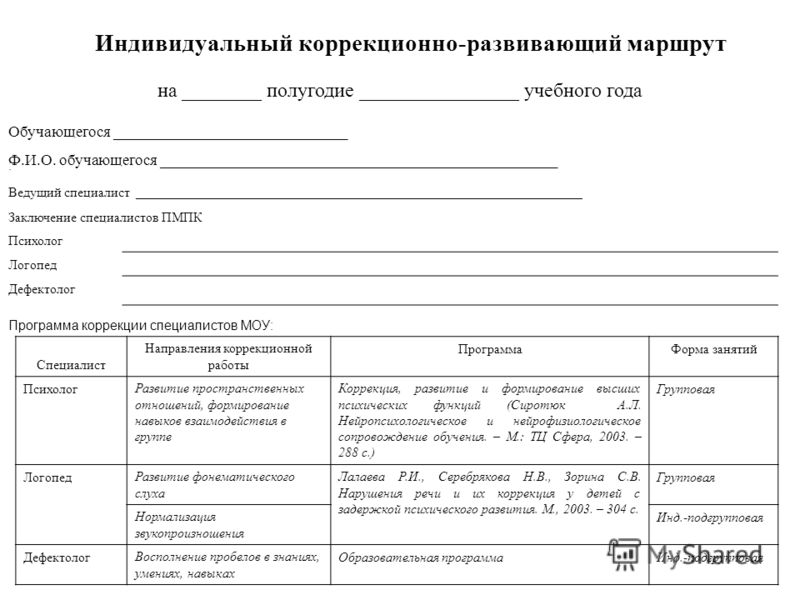 Протокол по индивидуальному проекту в школе