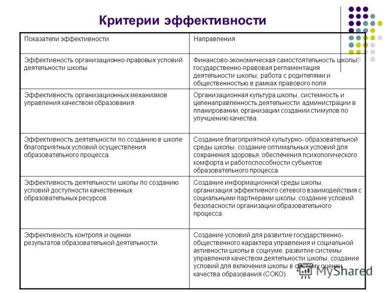 Эффективность проекта может быть организационной