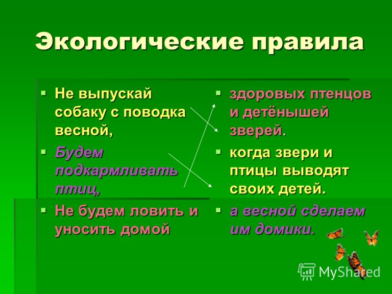 Правила экологической безопасности. Правила экологии. Окружающий правила экологии. Основные экологические правила.