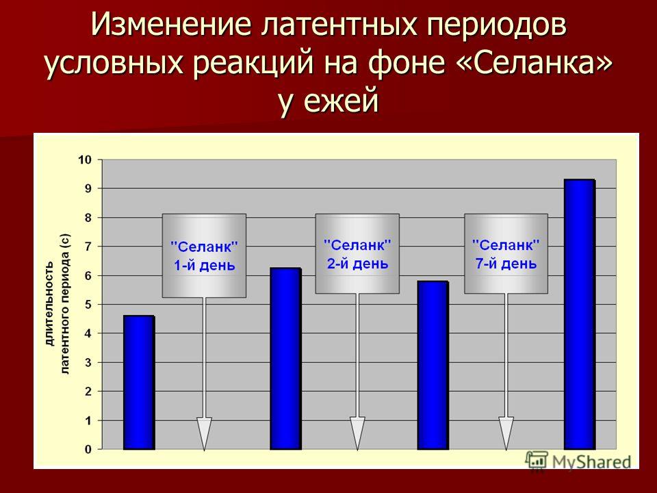 Условный период. Латентный период условной реакции человека.