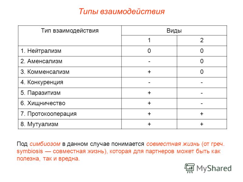 Определите и опишите типы взаимоотношений между организмами представленными на рисунках