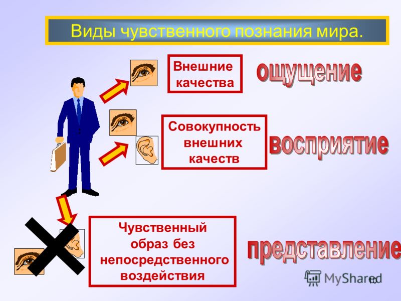 Познаваем ли. Внешние качества. Внешние и внутренние качества человека. Процесс получения знаний. Познаваем ли мир Аргументы.