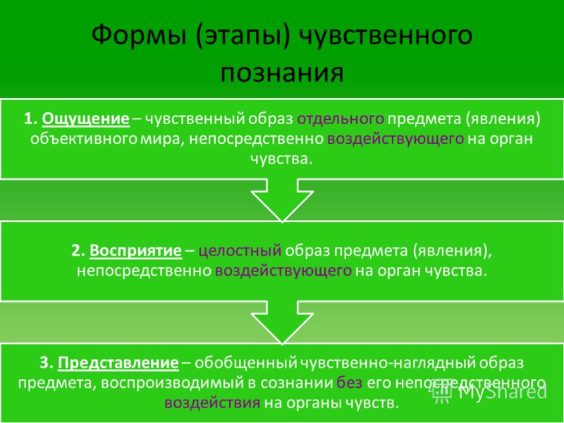 Ощущения восприятия представления понятия