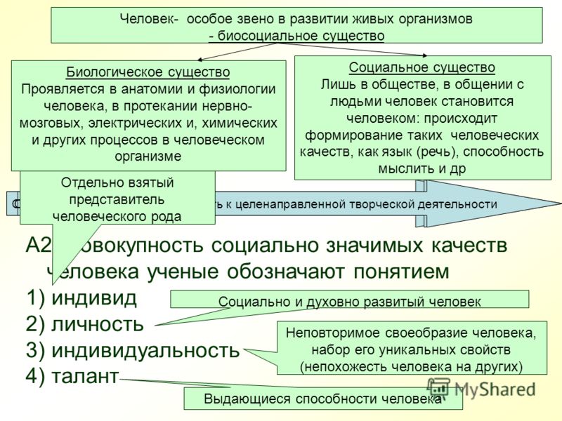 Выберите социальные качества человека. Социально значимых качеств личности. Социальные качества человека. Формирование социальных качеств. Социальное становление человека.