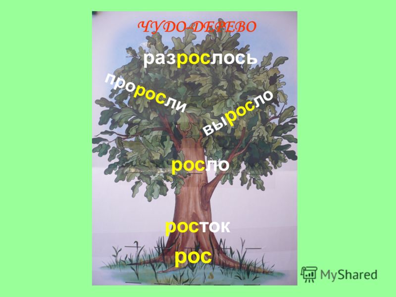 Включи страница 101. Семья слов. Словообразовательное дерево. Дерево с однокоренными словами. Проект семья слов 3 класс.