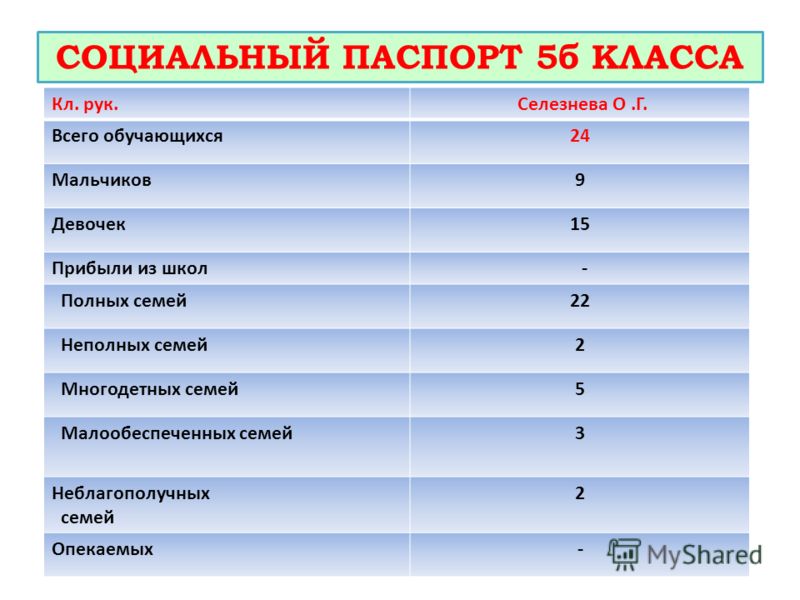 Социальный паспорт ребенка в школе образец