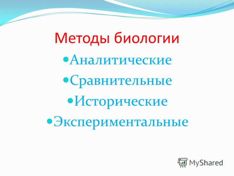 Оператор в биологии это. Сравнение в биологии. Информация в биологии. Представления это в биологии. Внимание биология.