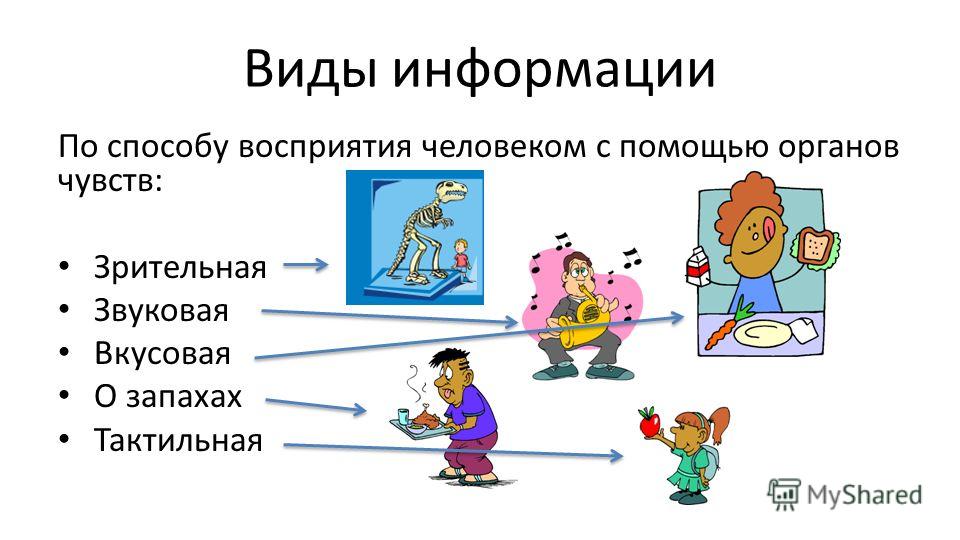 Схема восприятия информации