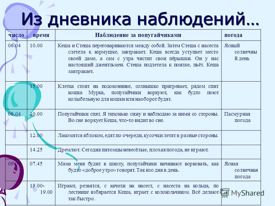 Наблюдение за домашними животными 5 класс биология. Дневник наблюдения за учеником. Дневник наблюдений за животными. Дневник наблюдения за домашним питомцем. Дневник наблюдения за домашним животным.