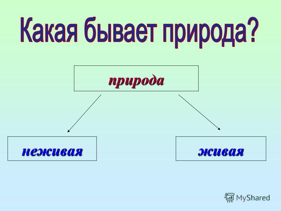 Какие бывают обычные. Какая бывает природа Живая и неживая. Какая бывает неживая природа. Надпись Живая и неживая природа. Какая бывает природа 1 класс окружающий мир.