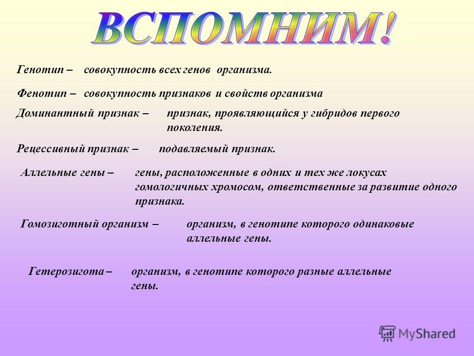 Фенотипическим признакам организма. Рецессивный генотип. Ген генотип фенотип. Доминантные и рецессивные признаки. Рецессивный признак.