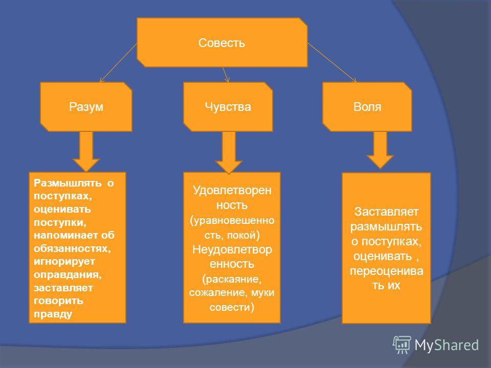 Какое чувство разума