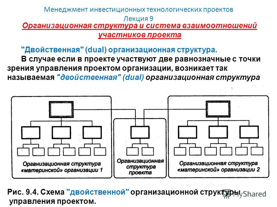 Структура участников. Схема «двойственной» организационной структуры управления проектом. Двойственная организационная структура управления проектом. Комбинированная структура управления схема. Двойственная (Dual) организационная структура.