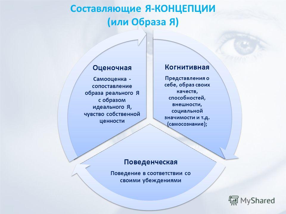 Устойчивая система представлений индивида