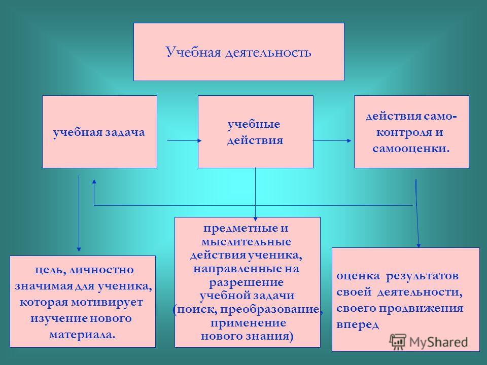 Структура учебной деятельности схема