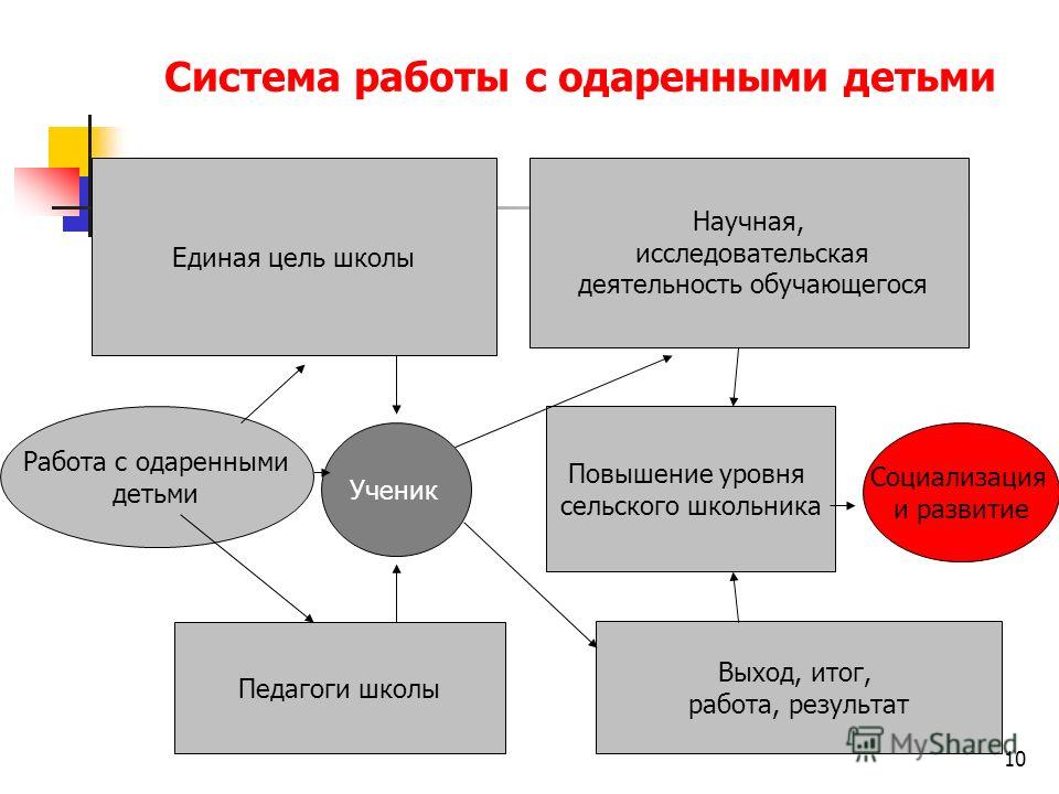 Банк данных одаренных детей в школе образец