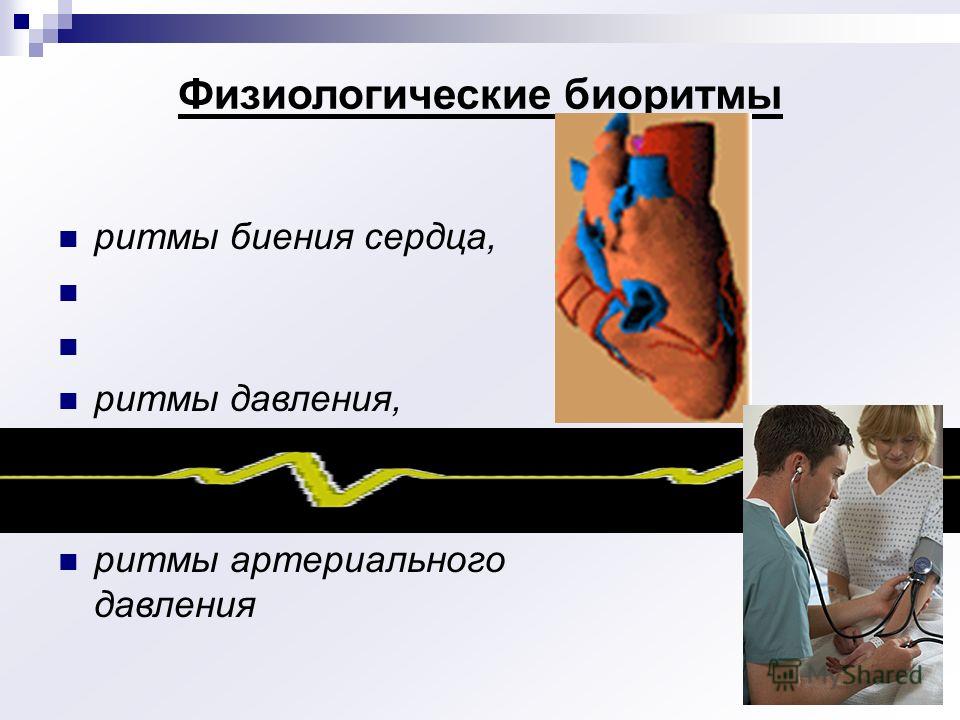 Тест определяющий суточного ритма