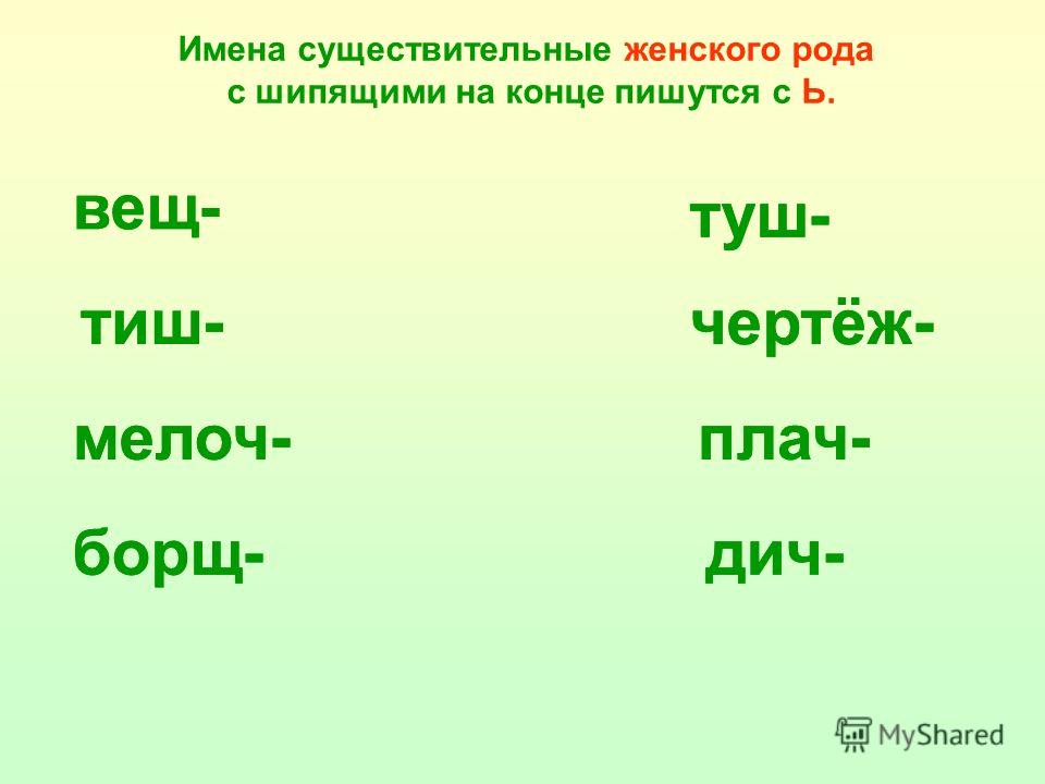 Существительные женского. Существительные с шипящими на конце женского и мужского рода. Имена сущ с шипящей на конце. Существительные женского рода с шипящими на конце. Существительные с шипящими на конц.