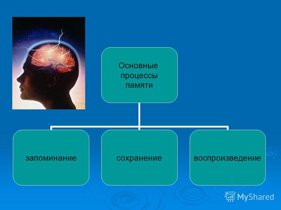 Сенсорная память. Процессы памяти картинки. Разделы памяти человека. 7. Основные процессы памяти: запоминание, сохранение, воспроизведение. Процессы памяти картинки для презентации.