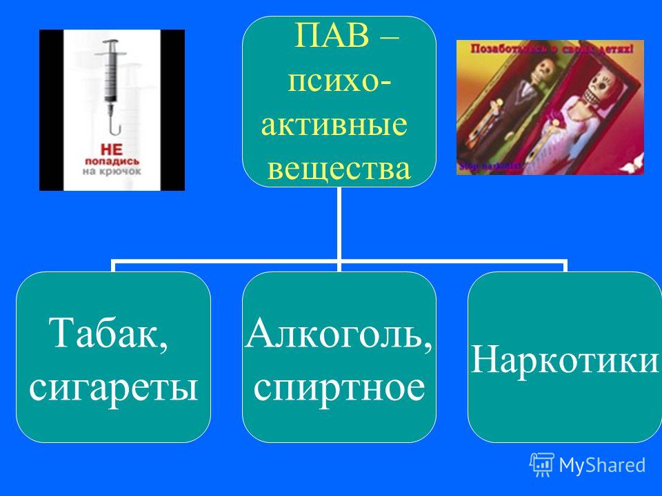 Презентация для школьников пав