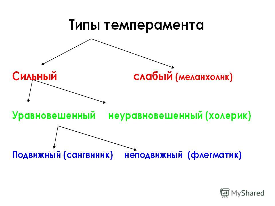 Презентация по типам темперамента