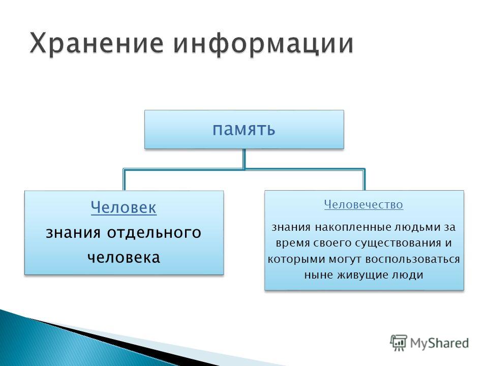 Память информации. Память человека и память человечества. Хранение информации человеком. Память хранение информации. Значение процесса хранения информации.