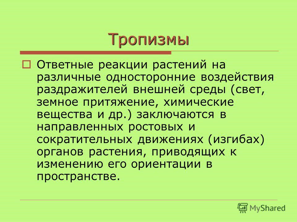 Таксис. Движение растений тропизмы. Движение растений таксисы. Тропизмы таксисы и настии у растений. Тропизмы у растений презентация.