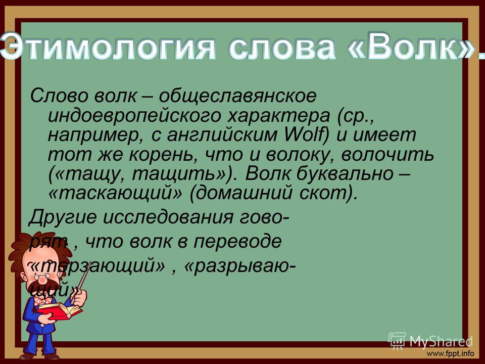 В каком году произошло слово