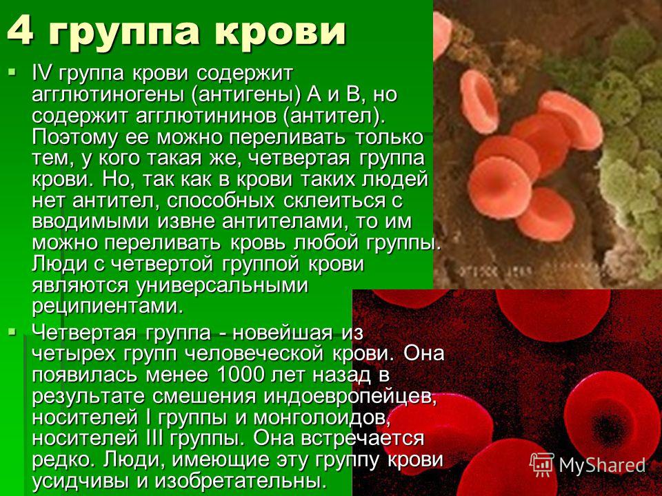 Ab кровь это какая. 1 Положительная группа крови редкая. Самая редкая группа крови. 4 Группа крови. 4 Группа крови редкая.